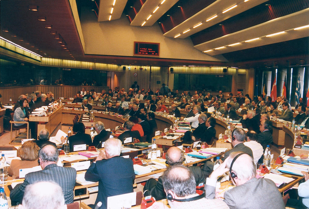 Session of the Economic and Social Committee (II)
