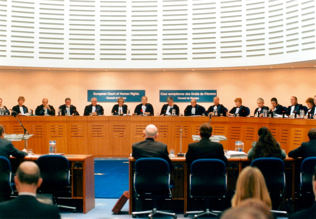 Hearing in the European Court of Human Rights (Strasbourg)