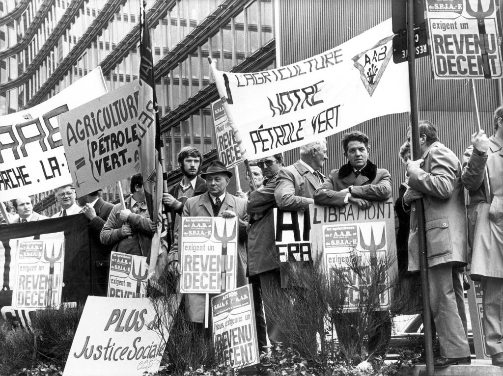 Demonstration by farmers (Brussels, 1981)