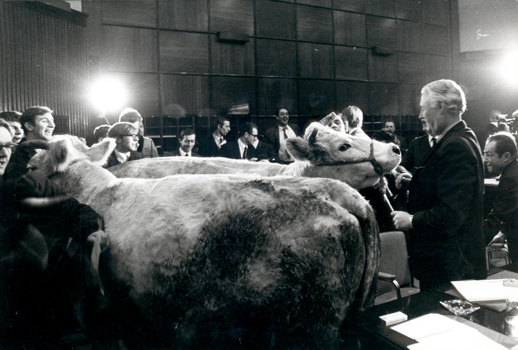 European farmers demonstrate against the Mansholt Plan (15 February 1971)