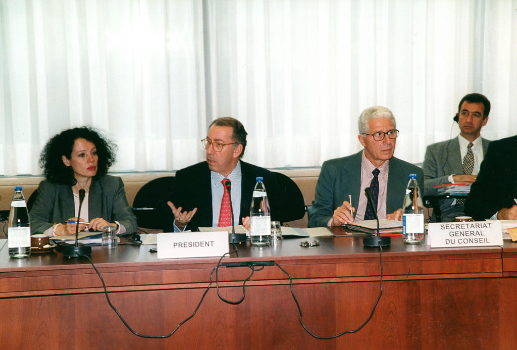 431. Sitzung des Politischen Ausschusses des Rates unter französischem Vorsitz