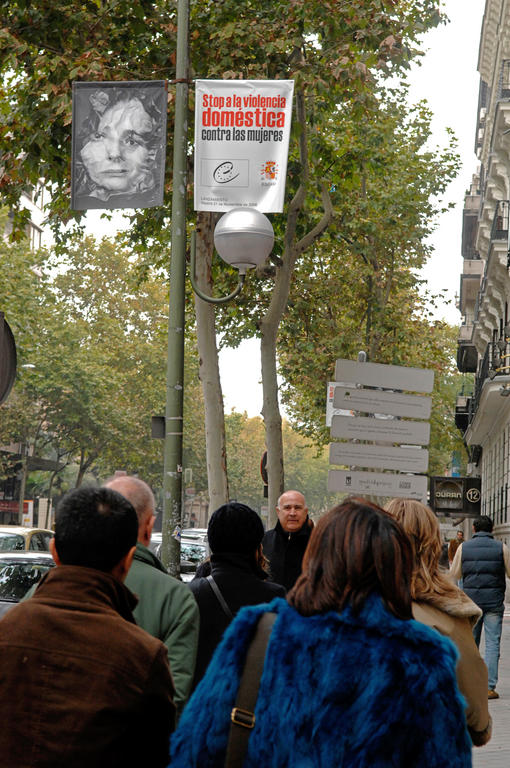 Council of Europe campaign against domestic violence (Madrid, 27 November 2006)